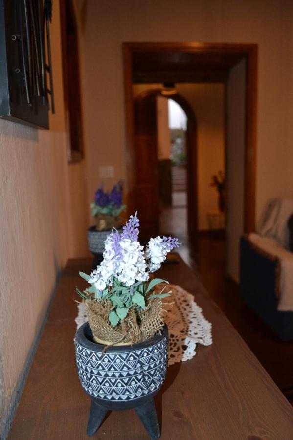 Casa Alamo Agaete Hotel Agaete  Luaran gambar