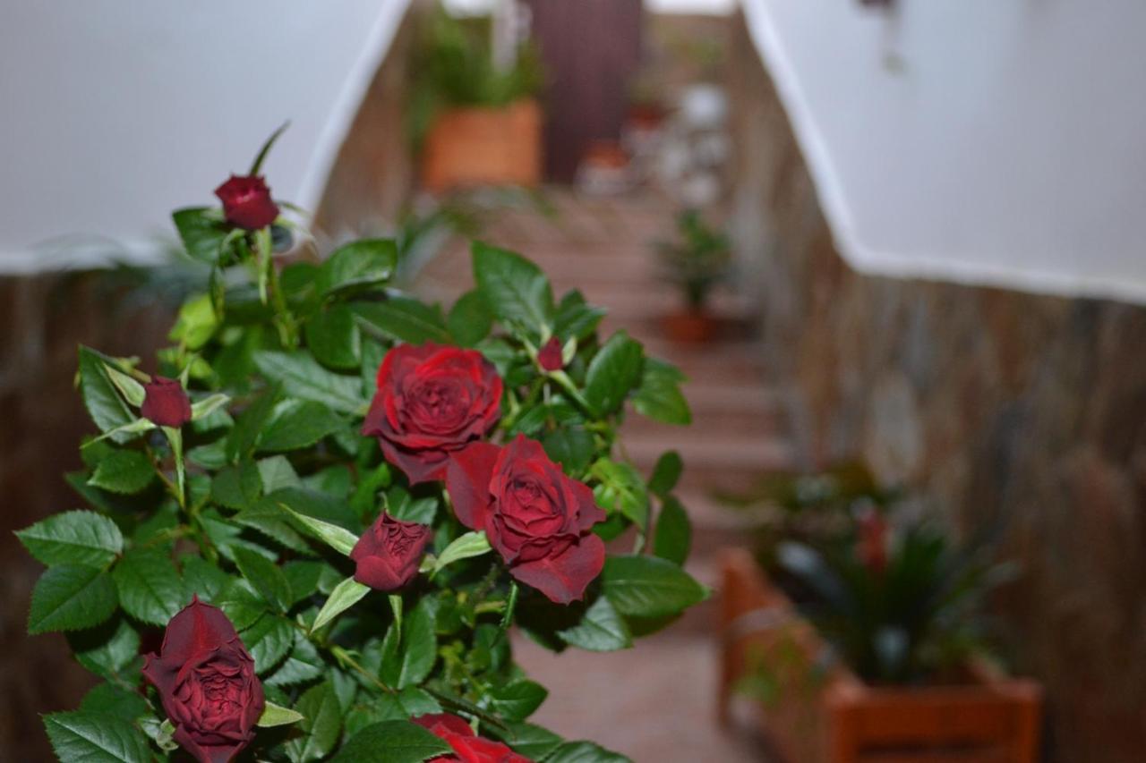 Casa Alamo Agaete Hotel Agaete  Luaran gambar